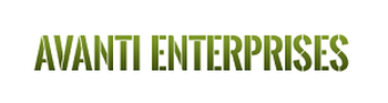 Avanti Enterprises Inc